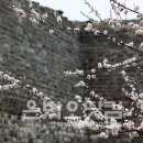 봄날처럼 민박 이미지