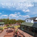 해피플레이스애견펜션