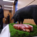 제주흑돼지 이미지