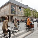 주정차074 이미지