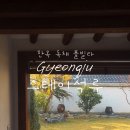 석류애견 이미지