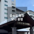 강원도 평창 모나 용평 콘도 28평 솔직후기