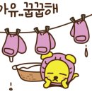 뽀송뽀송 애견 목욕 네이버블로그