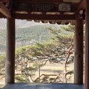 화순 한후정 Daum카페