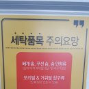 죽림세탁 이미지