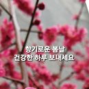 장흥대덕우체국 이미지