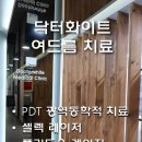 닥터화이트