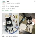 퓨어멍 이미지