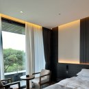 파인골프 | 파인비치 골프 호텔 코스뷰 객실 후기