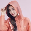 수지 이미지