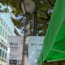 장하로 일원 이미지