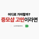 헤어증모하다