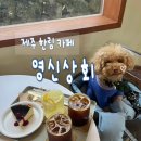 영신상회 이미지