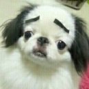 남원반찬
