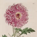 나은한의원 이미지