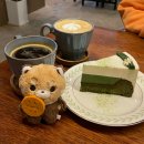 민들레애견 | [인후동 카페] 애견동반 되는 카페, 이르마 민들레 내돈내산 후기