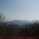 홍복산(洪福山)＜도쿄기적, 17년 만에 WBC 8강 결선진출 파이팅!＞ 이미지