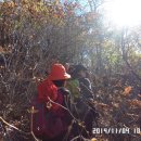 추원모차골 이미지