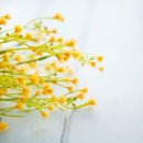 유덕초등학교 이미지