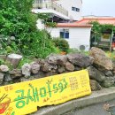 공새미 온 이미지