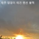 제주댕댕이애견펜션블랙 이미지