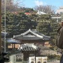 투데이멍 네이버블로그