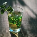 페퍼민트 이미지