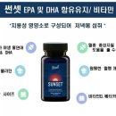 키야 이미지