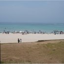 함덕 푸른밤 | 최상급 제주 함덕 흑돼지 완벽한 그릴링 서비스 후기