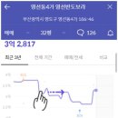 반도보라마트 이미지