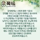 콩깍지 이미지