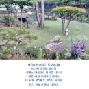 꽃잎담아 이미지