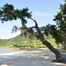 지리해수욕장 이미지