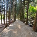 대한다원 이미지