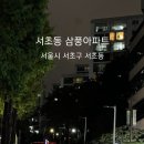 센트럴프라자(남쪽 출입구 옆) | 대한민국 법조계의 아지트, 서초 삼풍아파트 임장 후기