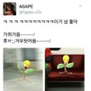 [2023 유럽] 황금홀 입성! 모짜르트 음악회 게섯거라
