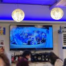 대광어회집 이미지