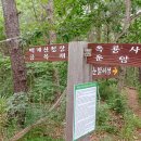 백운산둘레길4코스 Daum카페