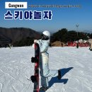 놀자 | 비발디파크 렌탈샵 스키야놀자 가격 및 대여 후기