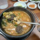 풍년드림 | 설 연휴 전주여행 2일차 (전주동물원 · 풍년제과두쫀쿠 · 피순대 후기)
