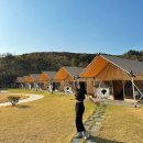 왜관 비소 제1호 | 대구 근교 왜관 힐포레 글램핑장 숙박후기