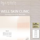 웰스킨
