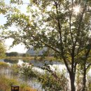 하천(유등천3) 이미지