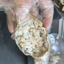 소호회센터 | 검암역맛집 아라뱃길맛집 검암역횟집 아라뱃길횟집 검암역현지인맛집 아라횟집 방문후기🥰🥰