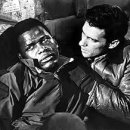 CW-1061-01 이미지