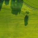 트렌드핏 사상점 이미지