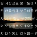 0116 대승본생심지관경 부모은중송 이미지