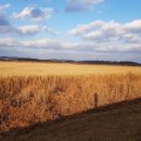 용머리축사 이미지