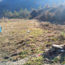 대지부동산중개사무소 이미지