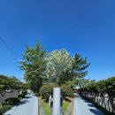 이동레포츠공원 족구장 이미지